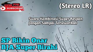 SP BIKIN ONAR TWB STEREO BJA SUPER BIRAHI _ SUARA WALET KOMBINASI SUPER RESPON