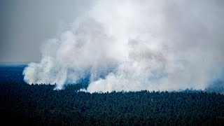 Berlin: Waldbrand in Grunewald nach Explosion auf Polizei-Sprengplatz