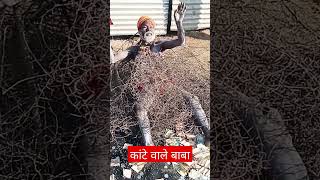 Prayagraj में कांटे वाले बाबा #shorts #viral #viralvideo #shortvideo #youtubeshorts #reels #video