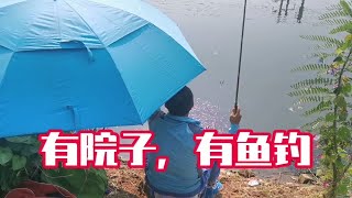 天津城乡结合部位置有屋也有田，700租了出门钓鱼便是田园生活