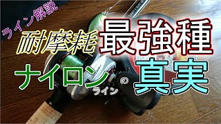 【ライン解説】王様のパフォーマンスは一応本当【ナイロンライン】