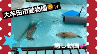 【福岡県大牟田市動物園】コロナ前に行ってきました