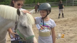 Child Horse Therapy