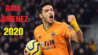 Raul Jimenez - Best goals & skills 2019/20
