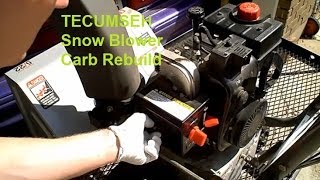 Tecumseh Carb snowblower cleaning 1 of 2