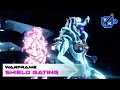 Turn energy into IMMORTALITY (shield gating) | Warframe