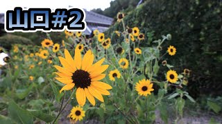 【聖徳太子弟と夏目雅子】桑山に行ってきました【山口県防府市】