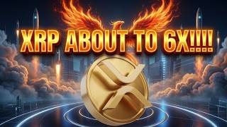 XRP DAVID SCHWARTZ PHOENIX NOW !!!! BLOFIN LAST TIME THIS HAPPENED XRP 6X !!!! BG123 XRP FLIP BTC!!!