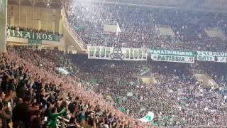 Panathinaikos BC Fans- Gate 13- OAKA (Part 2)