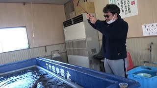 【釣り堀】鯉や金魚を狙って釣りしたよ