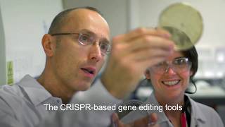 Philippe Horvath: From Yogurt Bacteria to Gene Editing