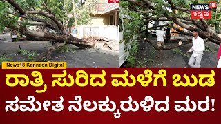 Bangalore Rains | ತಡರಾತ್ರಿ ಸುರಿದ ಮಳೆ ಗಾಳಿಗೆ ನೆಲಕ್ಕುರುಳಿದ ಬೃಹತ್ ಗಾತ್ರದ ಮರ | N18V