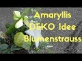 DIY Idee - Amaryllis - Weihnachtszauber in weiss silber