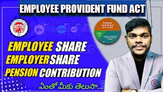 How to Calculate EPF Shares | employee and employer and pension contribution || in Telugu