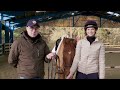 how to have your horses bit fitted in partnership with trust equestrian