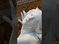 the insane talent of bernini art history