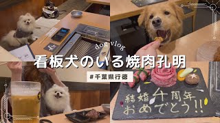 【犬と行ける焼肉】看板犬のいる焼肉孔明｜千葉県行徳