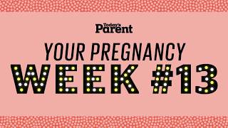 Your pregnancy: 13 weeks