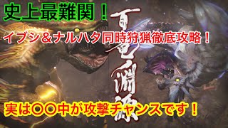 【百竜ノ淵源】ナルハタタヒメ＆イブシマキヒコ同時狩猟徹底解説！○○の時に攻撃加えると世界変わります！【モンハンライズ】【立ち回り攻略】