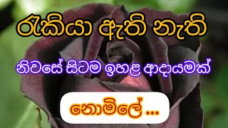 නිවසේ සිටම අමතර ආදායමක් ...