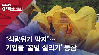 “식량위기 막자”…기업들 ‘꿀벌 살리기’ 동참