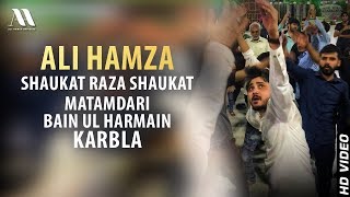 Ali Hamza Shaukat Raza Shaukat Matamdari Bain ul harmain Karbla