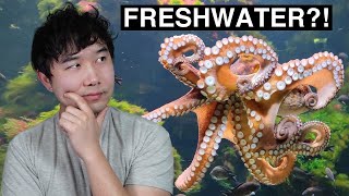 this fish tank will SHOCK you | Fish Tank Review 213