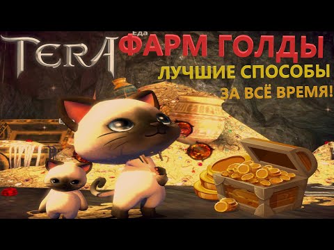 TERA ONLINE — ФАРМ ГОЛДЫ! САМЫЕ ЛУЧШИЕ, ЭФФЕКТИВНЫЕ И ПОПУЛЯРНЫЕ СПОСОБЫ ФАРМА ЗОЛОТА ЗА ВСЁ ВРЕМЯ!