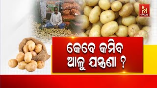 କେବେ କମିବ ଆଳୁର ଦର ?  : ପୁରୁଣା ଯାଇ ଏବେ ନୂଆ ଆଳୁ ଆସିଲା, ହେଲେ ଦର ଯେତିକିକୁ ସେତିକି | | NandighoshaTV