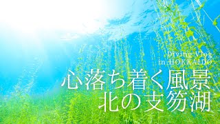 北海道の絶景！支笏湖のダイビングで時の流れを忘れて癒される