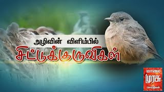 உலக சிட்டுக்குருவிகள் தினம் இன்று | அழிவின் விளிம்பில் சிட்டுக் குருவிகள்....