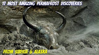 17 Most Amazing Permafrost Discoveries From Siberia & Alaska