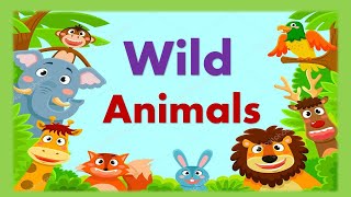 Wild animals and their sounds | Video of wild animals | Zoo animals