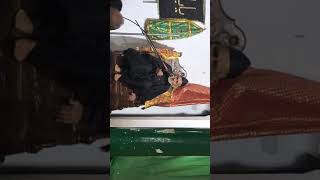 Shahadat Ghazi Abbas 8 Moharram 1440 Hijri Sirsi Azadari 2018