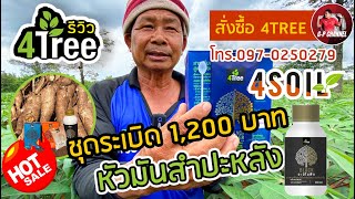 🌱โฟร์ทรี 4Tree ฮอร์โมนสูตรระเบิดหัวใส่ตอนมันสำปะหลังอายุ 3 เดือนได้หรือไม่ ใส่แล้วจะดีไหม😮😮