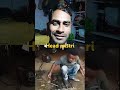 head mistri shorts funny comedy facts youtubeshorts youtube viralvideo viralshorts