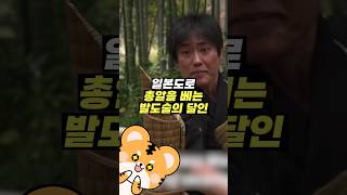 총알을 베는 현실판 켄신 ㄷㄷ