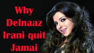 Why Delnaaz Irani quit Jamai Raja - BT