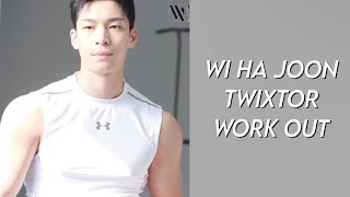 wi ha joon twixtor scene pack | work out