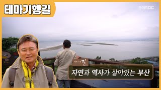 [테마기행길] 자연과 역사가 살아있는 부산