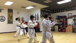 Jojutsu Shodan Kata