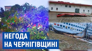 Повалені дерева, зірвані дахи та відключення світла: на Чернігівщині сильний вітер