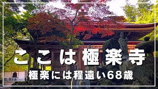 極楽寺で密かにボヤく68歳　ここは極楽なのか、それとも・・