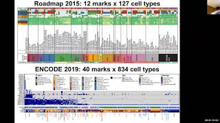 MIT CompBio Lecture 09 - Epigenomics II (Fall '19)