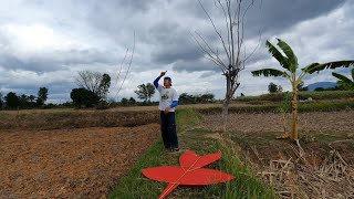 ปล่อยว่าวลองเสียงสนู ลมฝนครับ