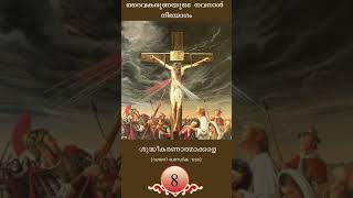 ദൈവകരുണയുടെ തിരുന്നാളിന് ഒരുക്കമായുള്ള നവനാൾ പ്രാർത്ഥന | 8- ദിവസം| Fr.Sijo Thayyalakkal CMI | JRC