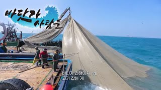 바닷가 사람들 - 은빛 물결을 쫓는 멸치잡이 선단_#002