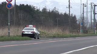 北海道警察　函館交機　速度取締り　2