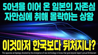 50년을 이어 온 일본의 자존심 자만심에 취해 몰락하는 상황 이것마저 한국보다 뒤처지나? [ENG SUB]