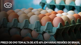 Preço do ovo tem alta de até 40% em várias regiões do Brasil